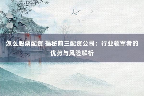 怎么股票配资 揭秘前三配资公司：行业领军者的优势与风险解析