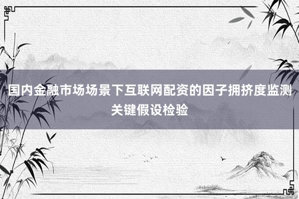 国内金融市场场景下互联网配资的因子拥挤度监测关键假设检验