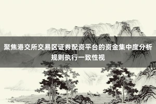 聚焦港交所交易区证券配资平台的资金集中度分析规则执行一致性视