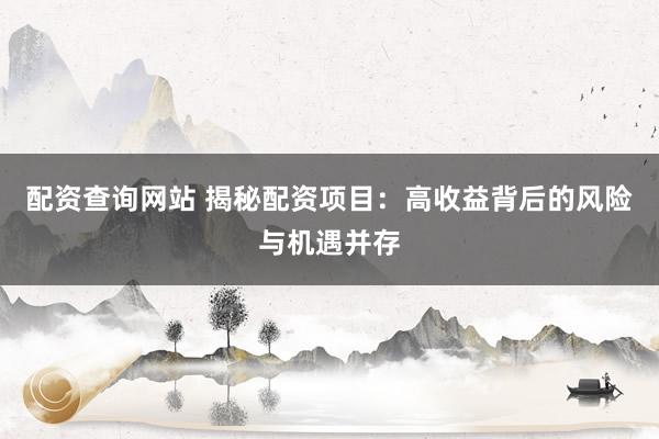 配资查询网站 揭秘配资项目：高收益背后的风险与机遇并存